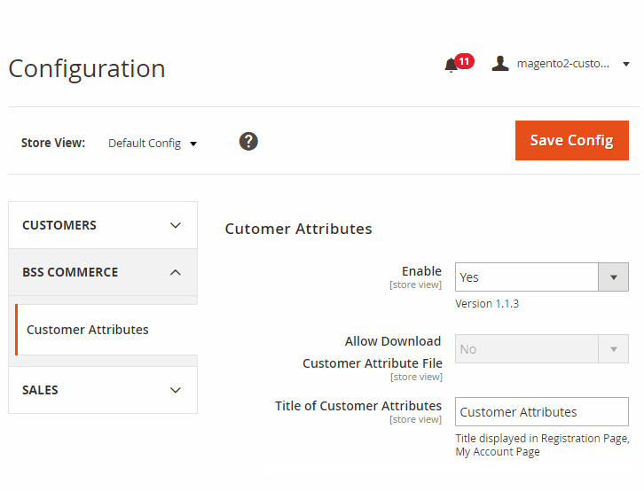 Magento 2 Customer Attributes: The A – Z Guide for Dummies at Singapore!